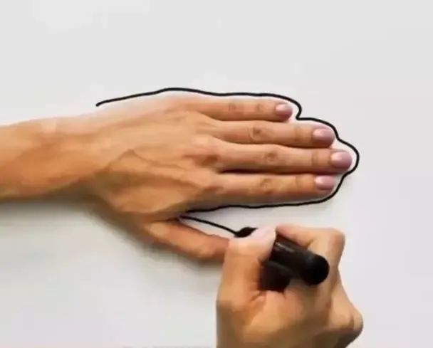手掌