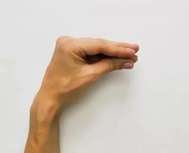 手掌