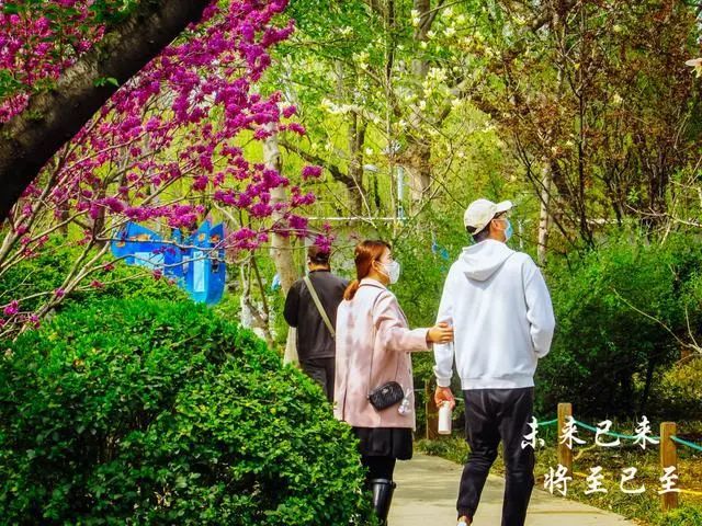 泉城公园最美花季来赏花春暖花开疫情已远去