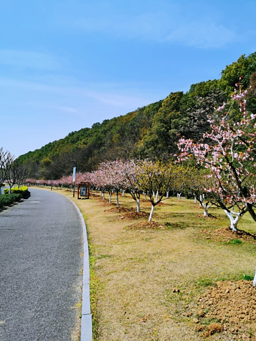 江阴芙蓉湖公园位处城区,背靠黄山森林公园,南连天华轴线人行步道,是