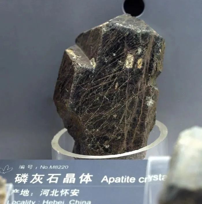 按照加合阴离子不同,除氟磷灰石外,还有氯磷灰石,羟基磷灰石等.