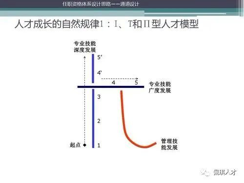 罗永浩归去来兮,你该如何一眼识别真正的t型人才?