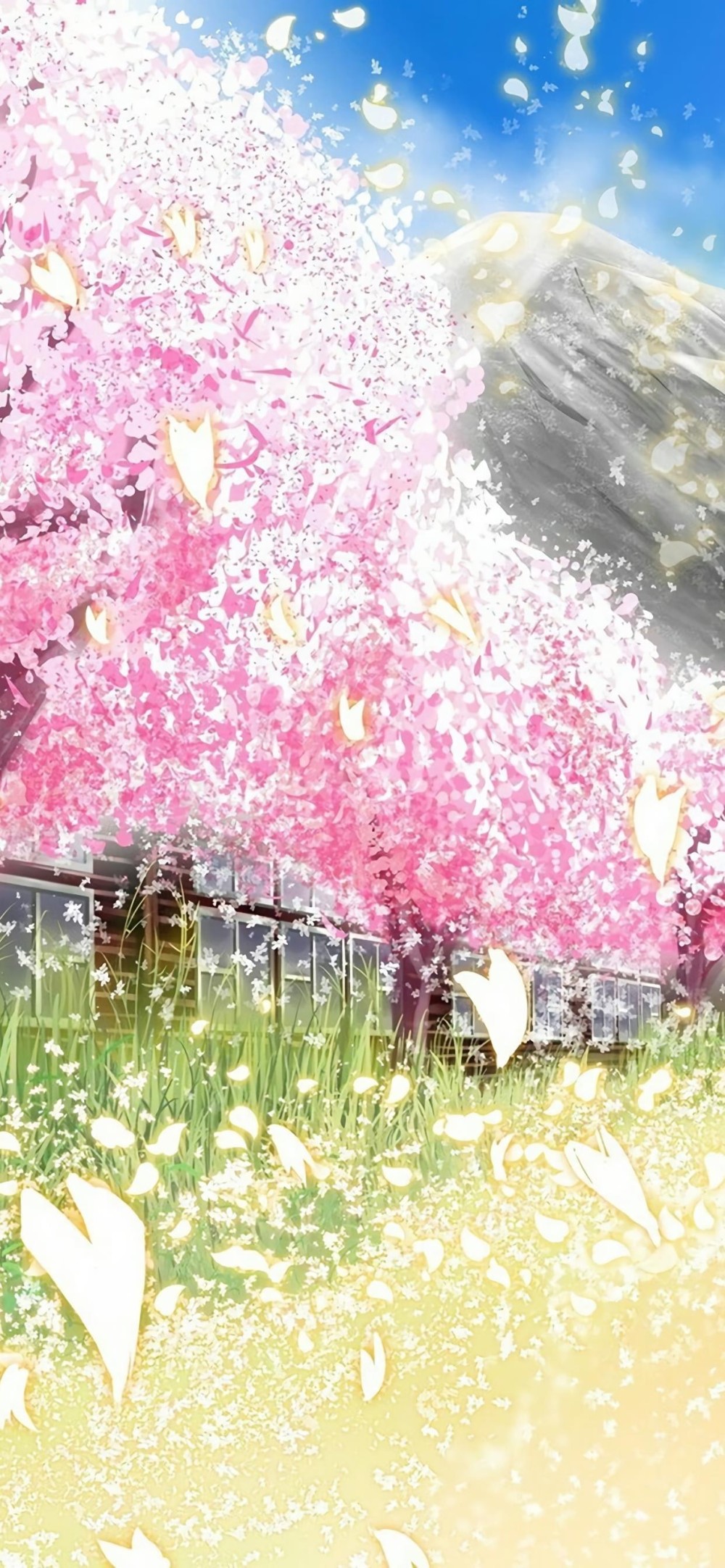 日本樱花动漫场景 手机唯美图片壁纸