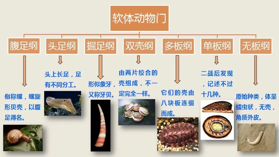 中国湿地博物馆"有'贝'而来"贝课堂