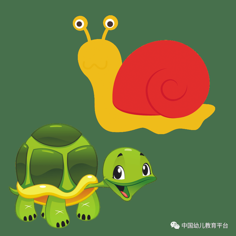 幼儿园大班语言:《小乌龟和小蜗牛》