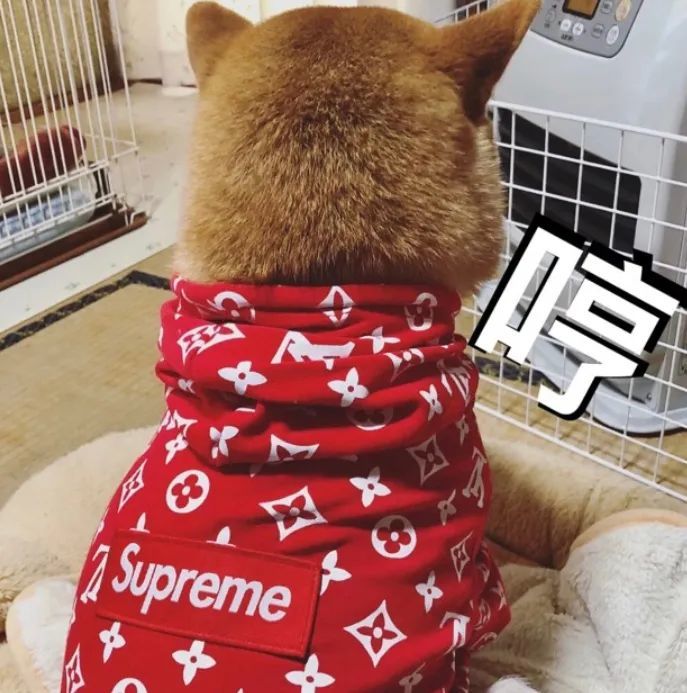 离谱!贝克汉姆儿子卖"原味儿"supreme x lv联名卫衣,一口价97万!