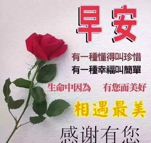 3月28日清晨早安问候动态表情图片 最美早上好祝福美图