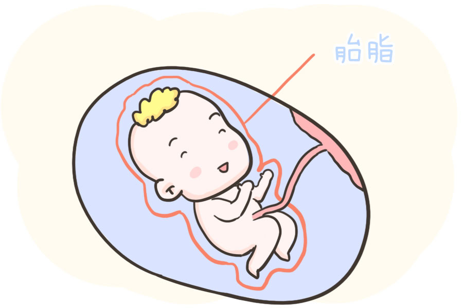 一篇来自胎宝的自述:我在妈妈羊水里的"惬意生活,看完暖化了