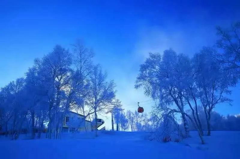 又双叒叕下雪?张家口一地这个冬天下了26场雪!