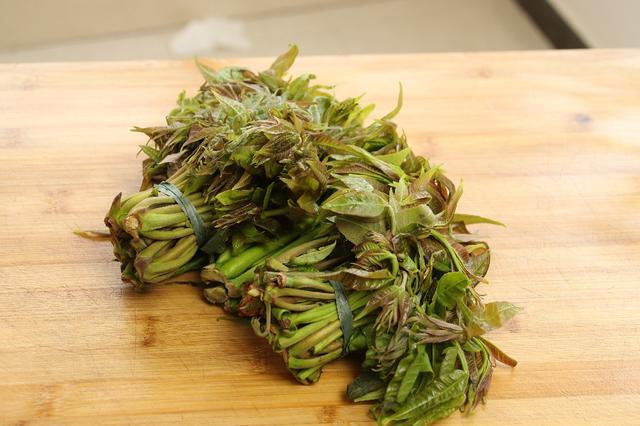 买香椿时,选紫香椿还是绿香椿?老菜农:牢记这3点,准没