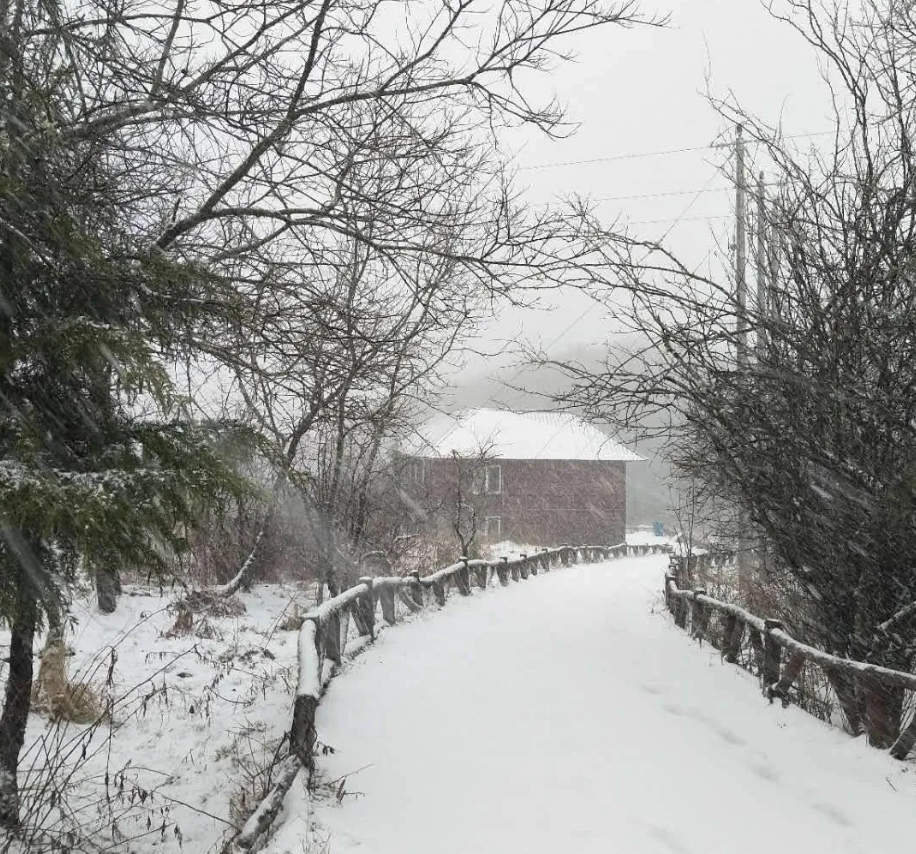 重庆多地下雪了!好冷!长寿接下来的天气