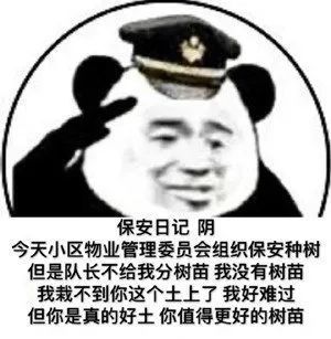 保安日记表情包