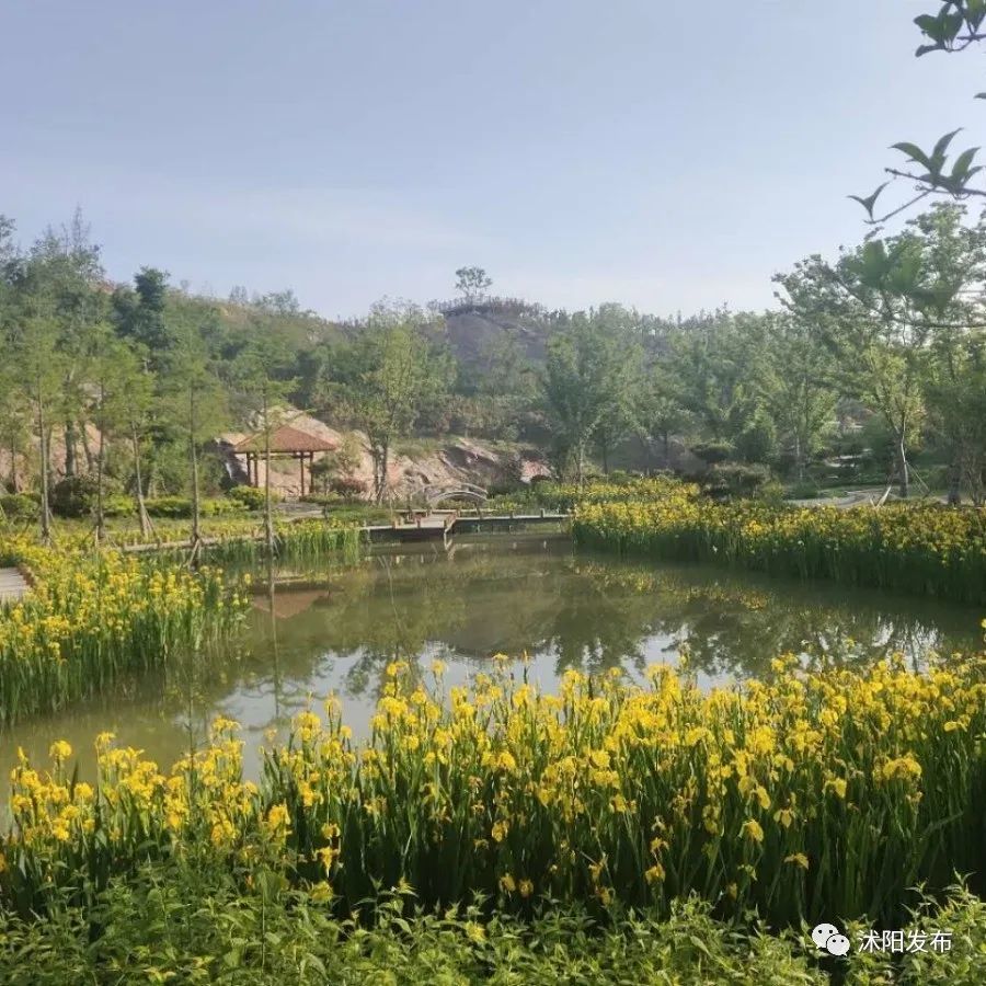 沭阳又添高颜值游玩好去处!韩山公园将于五一开园迎客