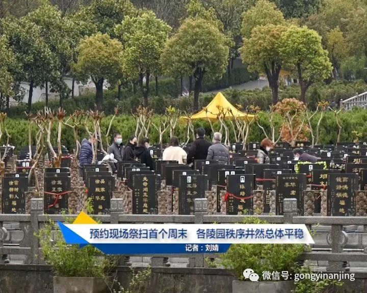 上午9点多,虽然还下着小雨,但我市最大的陵园—普觉寺墓园内来祭扫