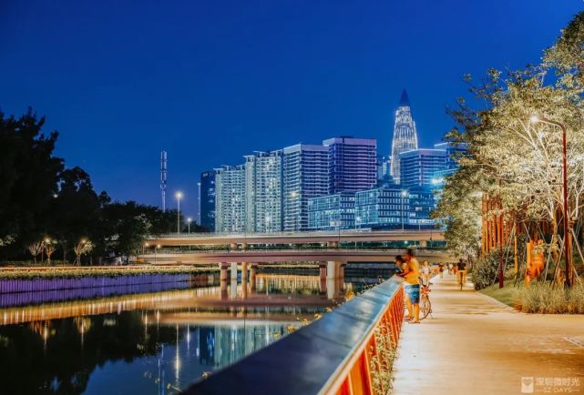 彩虹栈道,孔雀开屏…深圳公园夜景top 4,美得太惊艳!