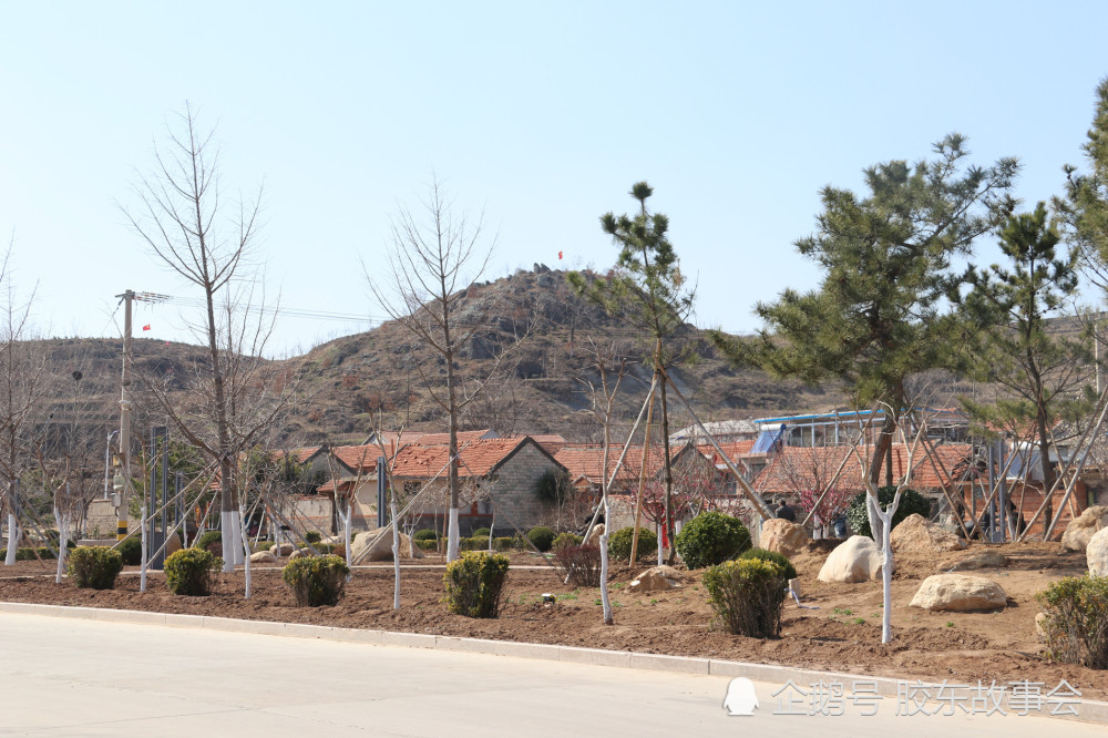 组图:莱阳龙旺庄街道纪格庄村,因为大桥而出名的地方