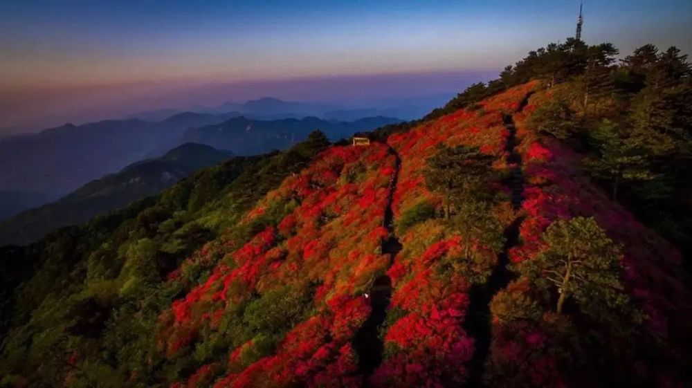 麻城龟峰山风景区,人间四月天,麻城看杜鹃!