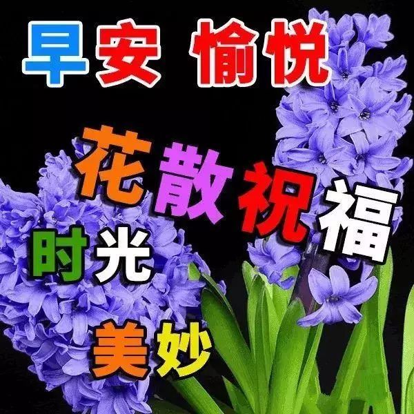 3月29日早上好问候祝福语唯美动态祝福图片,最好看早安祝福美图送给