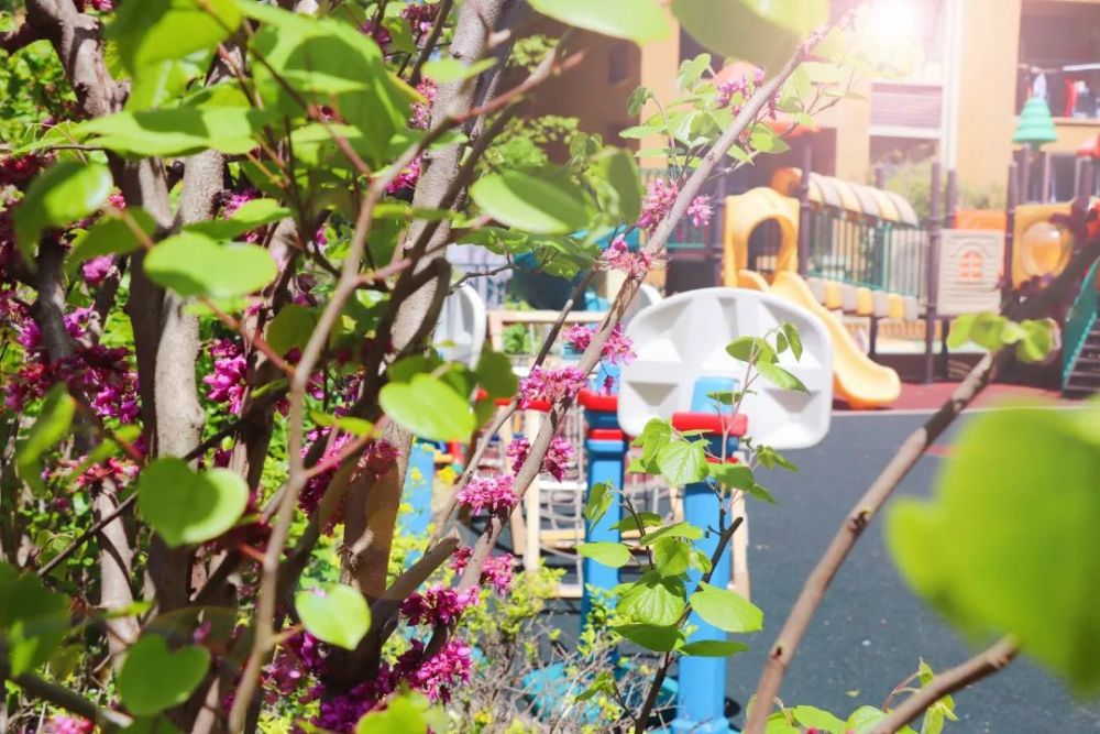 长泰淀湖观园城市_长泰淀湖观园二期_淀山湖花园幼儿园首页