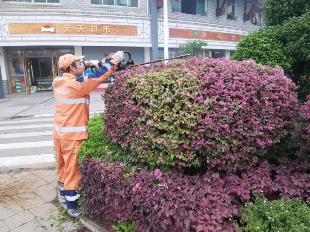不负春日好时节,全南园林绿化正当时