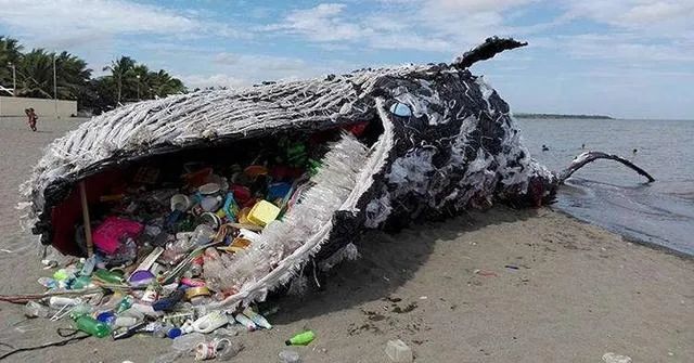 海洋垃圾导致海洋生态严重失衡,在死于海洋垃圾的鲸鱼的肚子里,出现