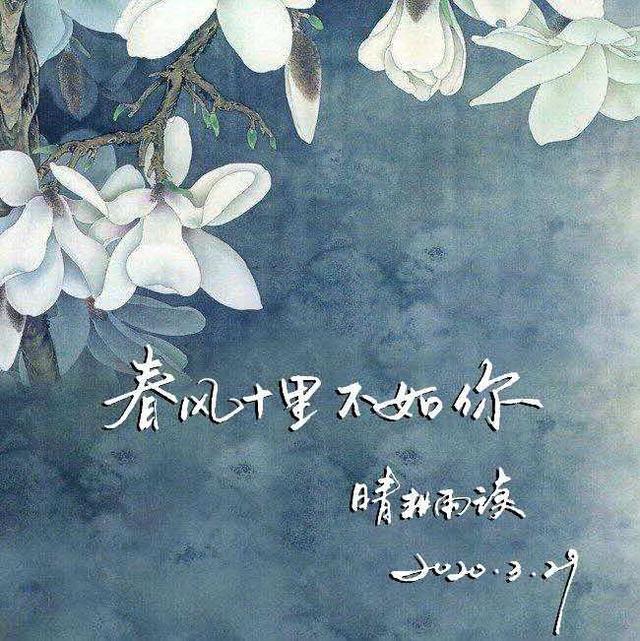 你若被大风吹到我怀里 我是不会还的