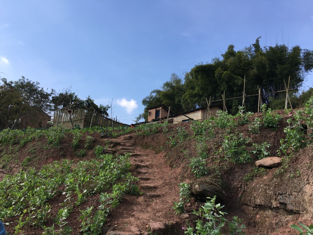 记忆里的四川南部风光,自给自足的乡村土地