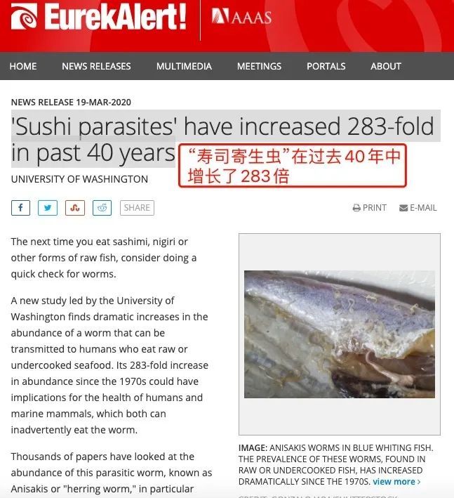 提醒爱吃生鱼片的人:这种寄生虫40年来暴增283倍!几招把风险降到最低