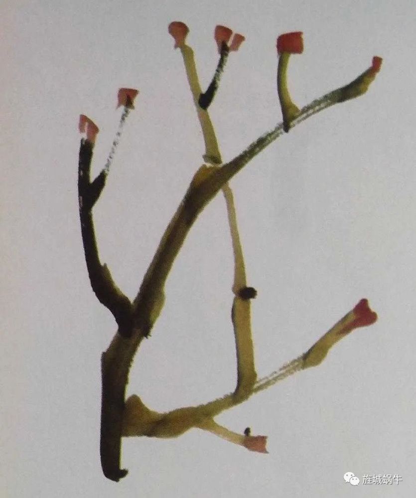 国画写意牡丹之骨—枝干的画法