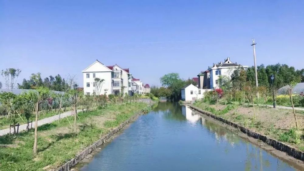 走进钟埭街道钟埭村,一眼望去平坦的村道,成荫的绿树,加上那些错落有