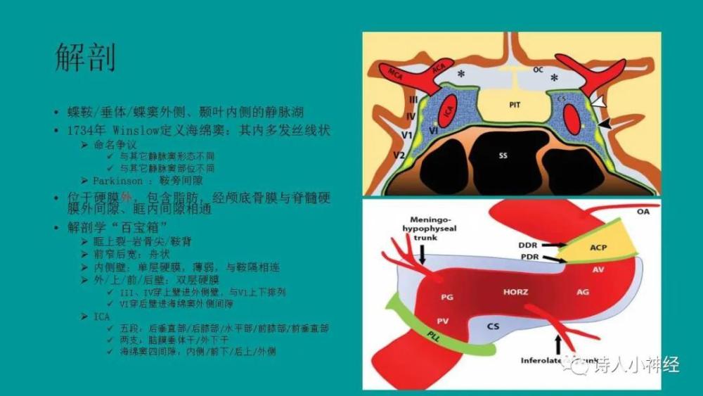 鉴别诊断——海绵窦病变的鉴别诊断