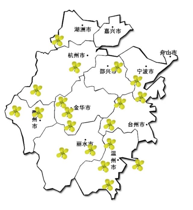 今天,小编就给大家整理了一份 [超全浙江油菜花地图] 杭州富阳