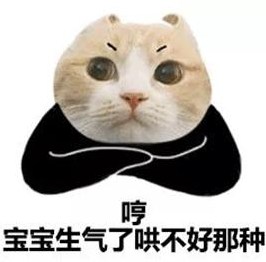 猫咪生气的样子,像极了你的女朋友