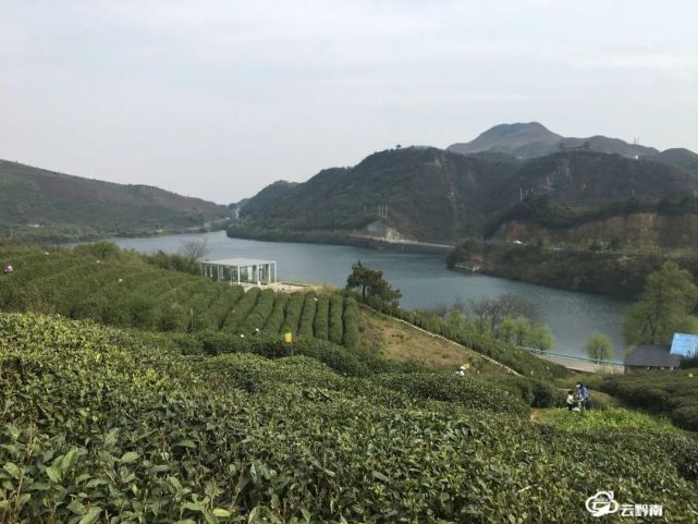 都匀螺蛳壳茶山