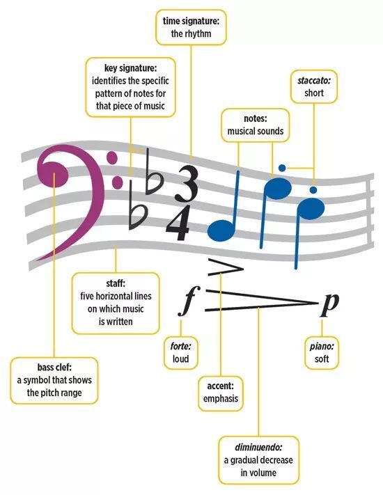 听说学音乐的孩子数学都很不错