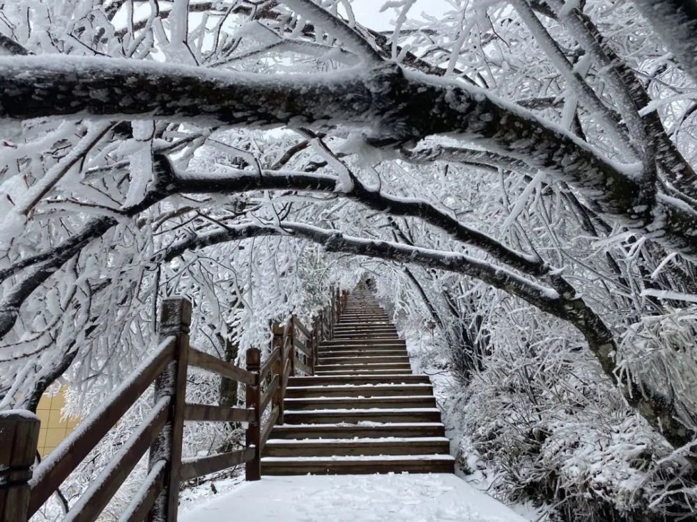 光雾山下雪了!