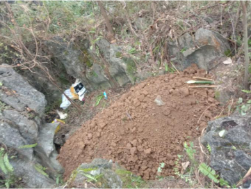 麻栗坡惊现"散埋乱葬"?120人执法小组出动!