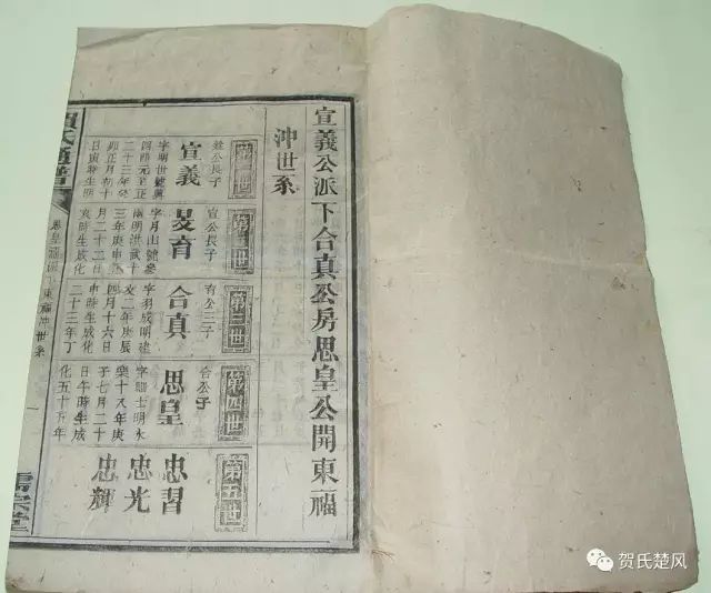耒阳贺氏人口_耒阳温氏养鸡场图片