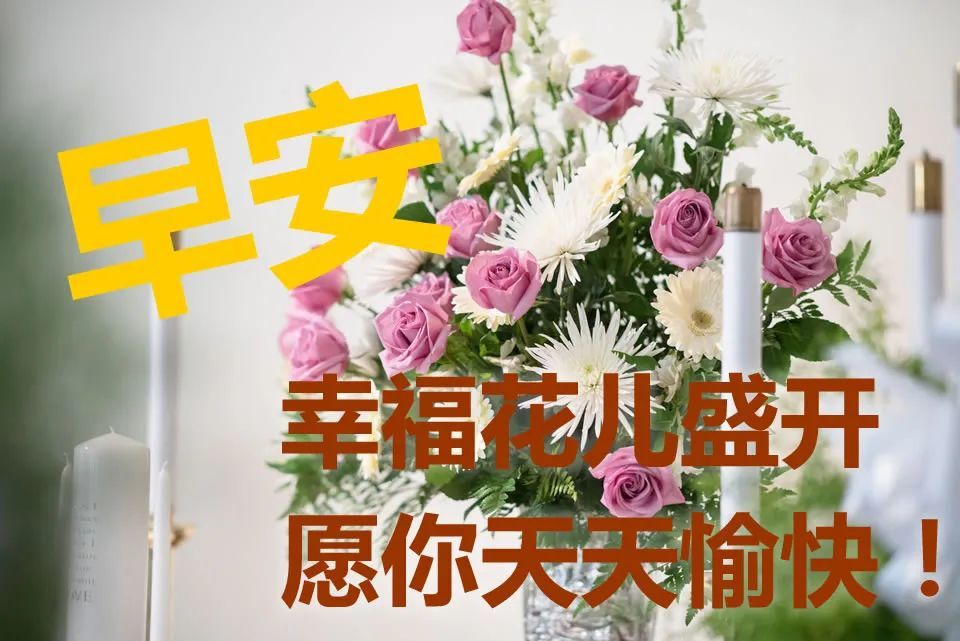 最新最火早安祝福动态表情图片