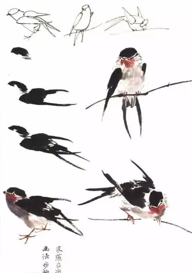 国画燕子的画法 1, 浓墨侧锋竖笔画头部; 2, 接头部画一横笔是燕子的