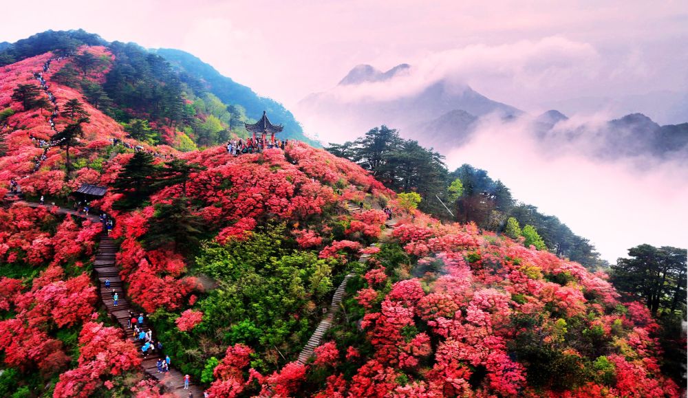 麻城杜鹃花海只是黄冈旅游的冰山一角,既是革命老区又是历史文化名城