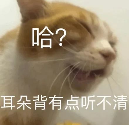 搞笑一组猫咪斗图表情包,成年人除了疲惫还剩下什么