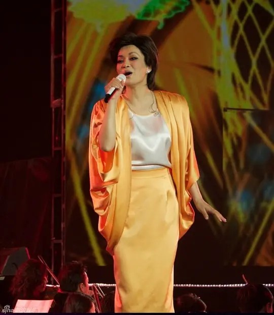 毛阿敏演唱的《渴望》主题曲 悠悠岁月的延续 它告诉我们生活需要真诚