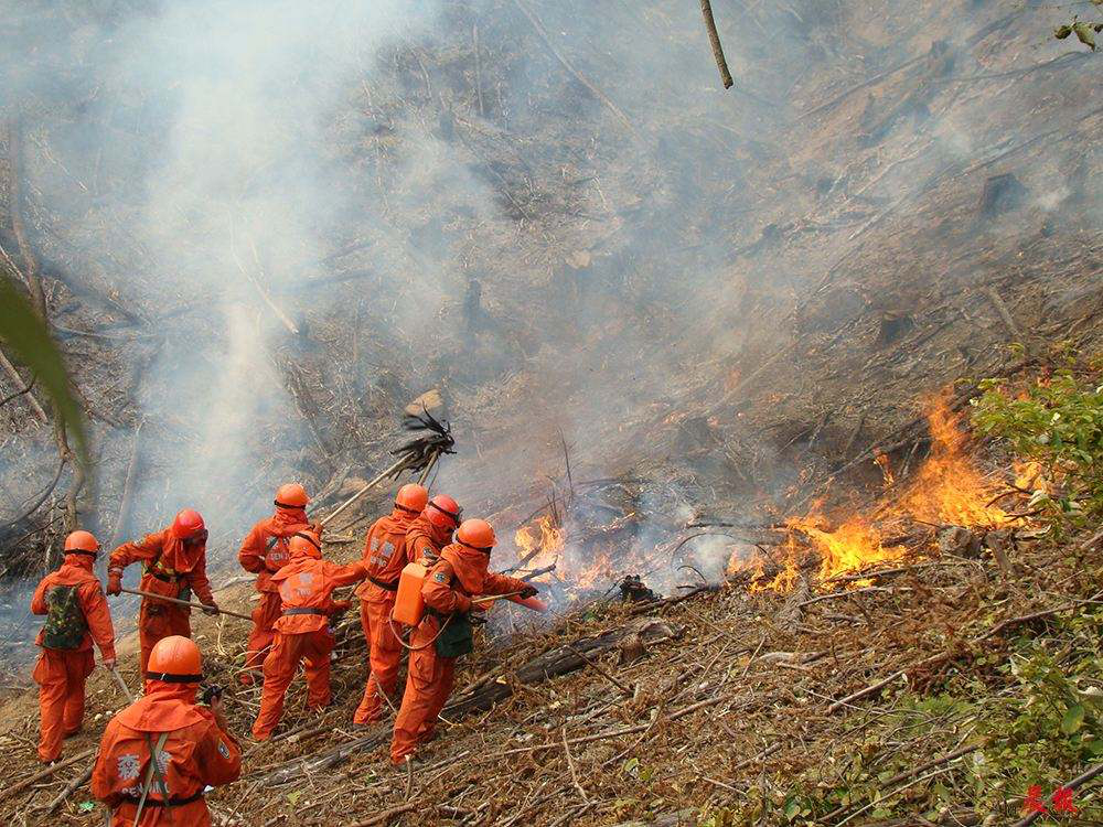 四川凉山再发大火,又致18名消防员牺牲!哪些因素易引发森林火灾?