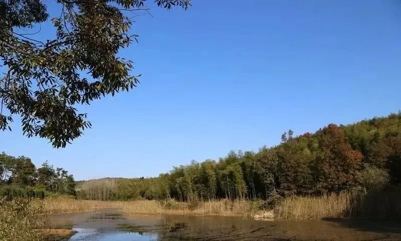 芜湖县红杨镇珩琅村