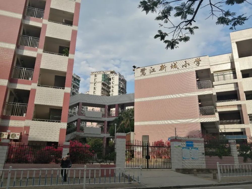 一定离不开厦门实验幼儿园,厦门第二实验小学,莲花中学这几所学校