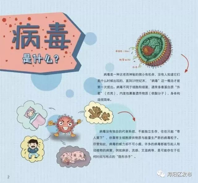 《写给孩子的病毒简史:给孩子的病毒科普来了!