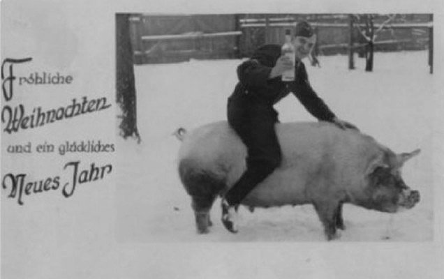 一个人和他的猪 腾讯网