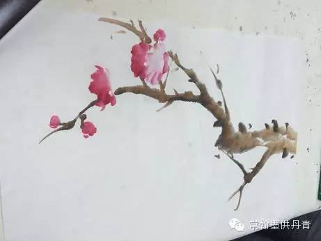 画家示范怎样画桃花