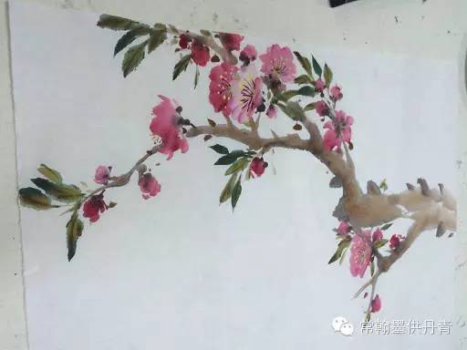 画家示范怎样画桃花